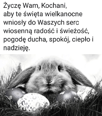 Zajączek chowający się za pisankami
